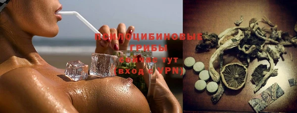 прущая мука Верхний Тагил