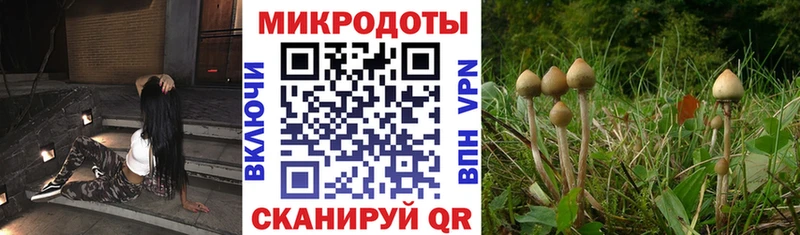 купить закладку  Копейск  Галлюциногенные грибы Magic Shrooms 